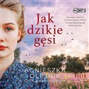 [Audiobook] Jak dzikie gęsi