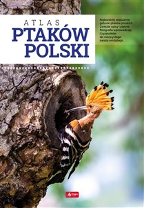 Atlas ptaków Polski - Księgarnia UK