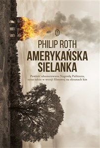 Amerykańska sielanka - Księgarnia Niemcy (DE)