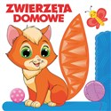 Zwierzęta domowe - Jacek Skawiński