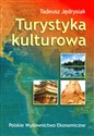 Turystyka kulturowa - Tadeusz Jędrysiak