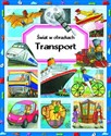 Transport. Świat w obrazkach - Emilie Beaumont, Marie-Renee Guilloret
