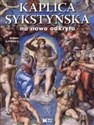 Kaplica Sykstyńska na nowo odkryta - Heinrich Pfeiffer