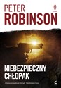 Niebezpieczny chłopak - Peter Robinson