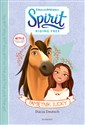 Pamiętnik Lucky. Spirit Riding Free