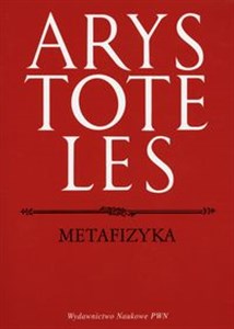 Metafizyka