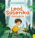 Leoś Sosenka obserwuje las