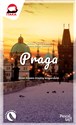 Praga Pascal lajt - Dorota Chmielewska