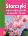 Storczyki Najpiękniejsze gatunki, pielęgnacja i uprawa