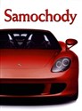 Samochody - Enzo Rizzo