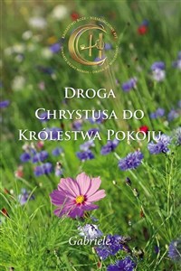 Droga Chrystusa do Królestwa Pokoju  - Księgarnia UK