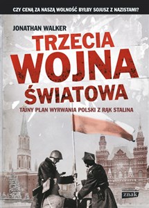 Trzecia wojna światowa Tajny plan wyrwania Polski z rąk Stalina