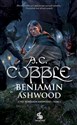 Beniamin Ashwood Tom 1 - A.C. Cobble