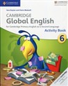 Cambridge Global English 6 Activity Book