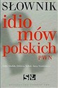 Słownik idiomów polskich PWN