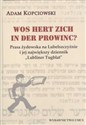 Wos hert zich in der prowinc? Prasa żydowska na Lubelszczyźnie i jej największy dziennik "Lubliner Tugblat"