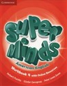 Super Minds American English 4 Workbook + online