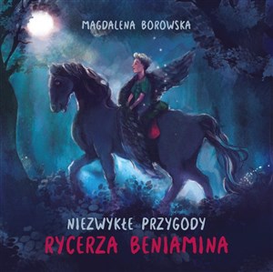 Niezwykłe przygody rycerza Beniamina - Księgarnia UK