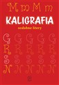 Kaligrafia. Ozdobne litery 