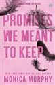 Promises We Meant To Keep 