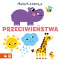 Maluch poznaje Przeciwieństwa - Opracowanie Zbiorowe