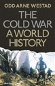 The Cold War A World History - Odd Arne Westad