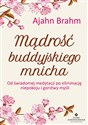 Mądrość buddyjskiego mnicha Od świadomej medytacji po eliminację niepokoju i gonitwy myśli