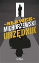 Urzędnik - Sławek Michorzewski