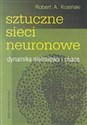 Sztuczne sieci neuronowe Dynamika nieliniowa i chaos - Robert A. Kosiński