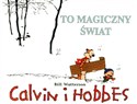 Calvin i Hobbes To magiczny świat t. 9