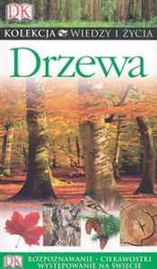 Drzewa