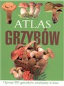 Atlas grzybów - Sławomir Sokół