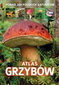 Atlas grzybów