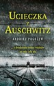 Ucieczka z Auschwitz (wydanie pocketowe) - Andriej Pogożew