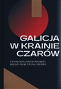 Galicja w krainie czarów Antologia poezji polskiej międzywojennego Lwowa