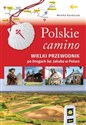 Polskie camino. Wielki przewodnik po Drogach św... 