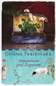 Sanatorium pod Zegarem - Liliana Fabisińska