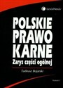 Polskie prawo karne Zarys części ogólnej - Tadeusz Bojarski