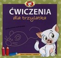 Ćwiczenia dla trzylatka Zabawy edukacyjne z naklejkami - Sławomir Grabowski