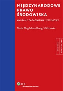 Międzynarodowe prawo środowiska Wybrane zagadnienia systemowe - Księgarnia Niemcy (DE)