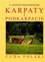 Karpaty i Podkarpacie reprint