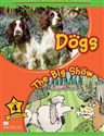 Children's: Dogs 4 The Big Show  - Paul Shipton
