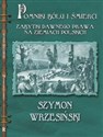 Pomniki bólu i śmierci Kamienne zabytki dawnego prawa na ziemiach polskich