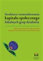 Struktura i uwarunkowania kapitału społecznego lokalnych grup działania - Katarzyna Zajda, Agnieszka Kretek-Kamińska, Elżbieta Psyk-Piotrowska, Danuta Walczak-Duraj