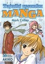 Tajniki rysunku Manga 30 lekcji rysunku z twórcą AKIKO