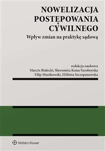 Nowelizacja postępowania cywilnego Wpływ zmian na praktykę sądową