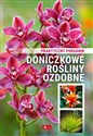 Doniczkowe rośliny ozdobne. Poradnik praktyczny  - 