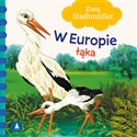 W Europie Łąka - Ewa Stadtmuller