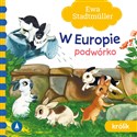 W Europie Podwórko Królik