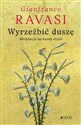 Wyrzeźbić duszę Medytacje na każdy dzień